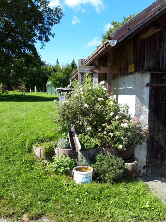 Röhrnbach Ferienwohnung Im Seidlerhof Mit Balkon Und Garten מראה חיצוני תמונה