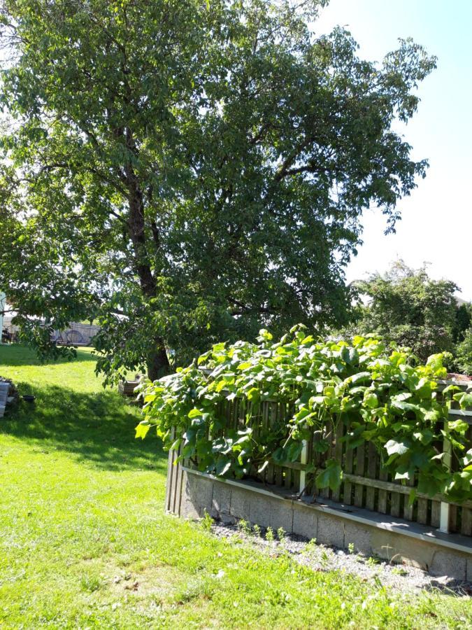 Röhrnbach Ferienwohnung Im Seidlerhof Mit Balkon Und Garten מראה חיצוני תמונה