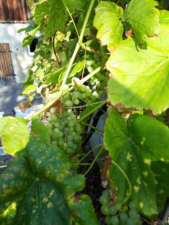Röhrnbach Ferienwohnung Im Seidlerhof Mit Balkon Und Garten מראה חיצוני תמונה