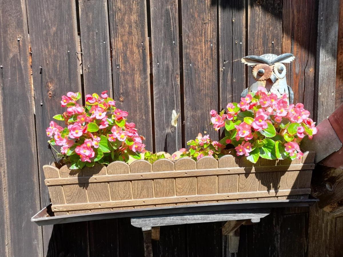 Röhrnbach Ferienwohnung Im Seidlerhof Mit Balkon Und Garten מראה חיצוני תמונה