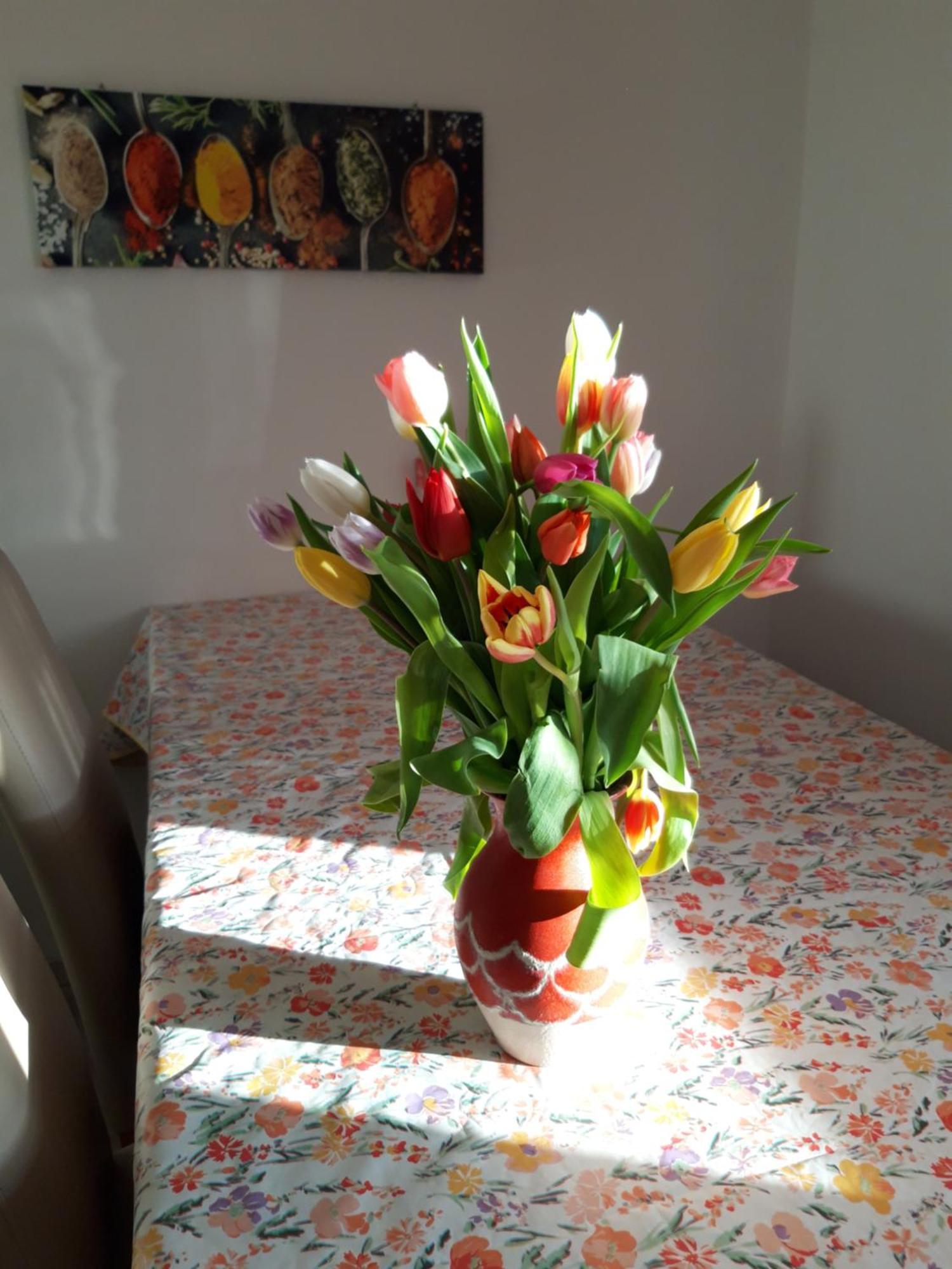 Röhrnbach Ferienwohnung Im Seidlerhof Mit Balkon Und Garten מראה חיצוני תמונה